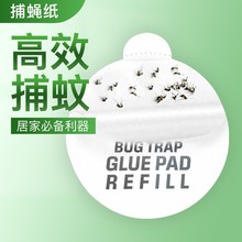 ճωRdճxωճxzˮճxճð