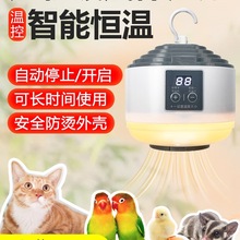 宠物暖风机静音保温灯智能恒温加热暖风猫狗鹦鹉蜥蜴宠物取暖