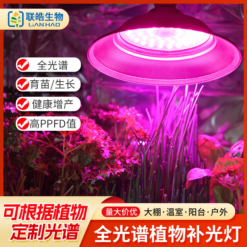 LED plant lamp