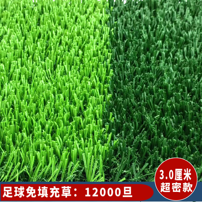メーカー幼稚園のサッカー場の人工芝工事は偽の草の皮の人工絨毯の芝生を囲います。|undefined