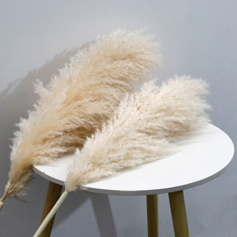 391b3247939612c63391409b4a89a6