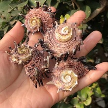 ؐ�����ݼ����ݴ���΁ţ�ݘ˱��ݼľ�з��Q���~��ˮ�幤ˇƷ