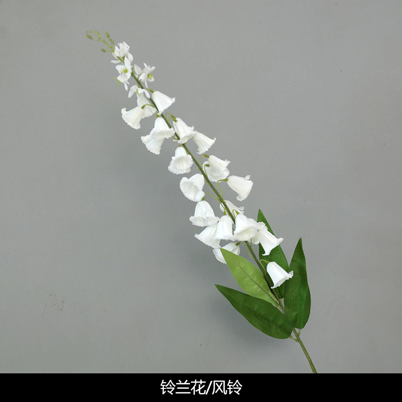 Lily of the valley