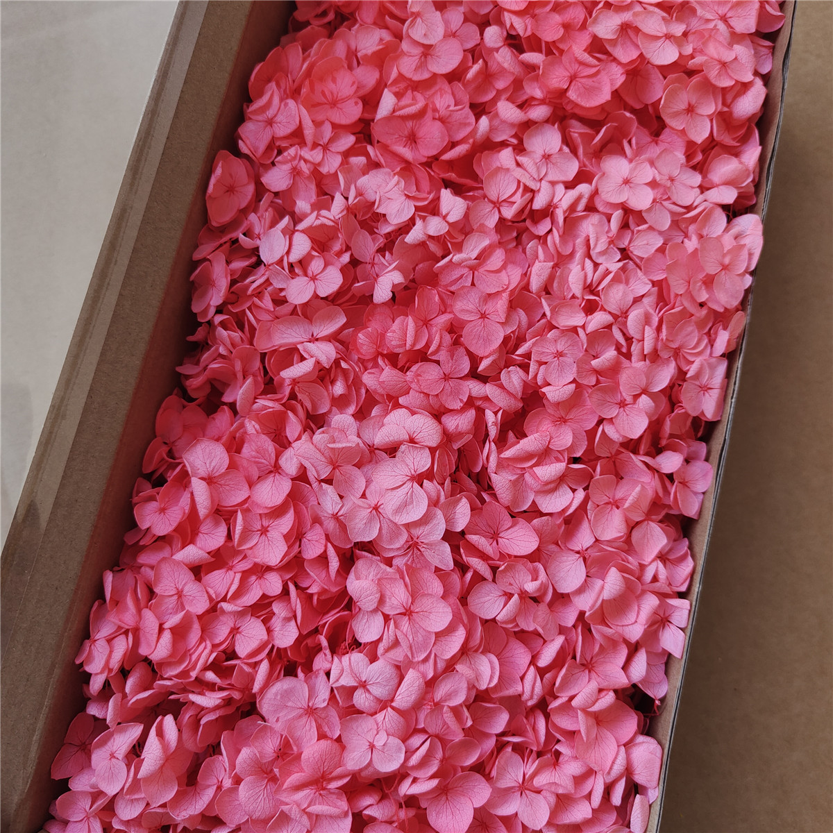 Flor eterna Hortensia Anna pequeña hoja flor seca flor real árbol de Navidad ventilador hecho a mano ramo DIY material paquete flor