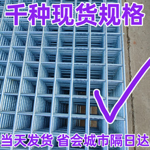 镀锌网片工厂狗笼鸽舍防护底网养殖加粗焊接铁网片网格铁丝网