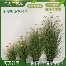 滨տؔ[͏dbbֲ滨羳}Q