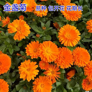 ��K�շN�����l �������N  ͥԺ߅�¸��G����߅�¾G��
