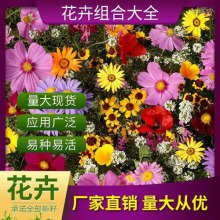 NļN_ղݲ˹շN̨ͥԺ׷NܻN