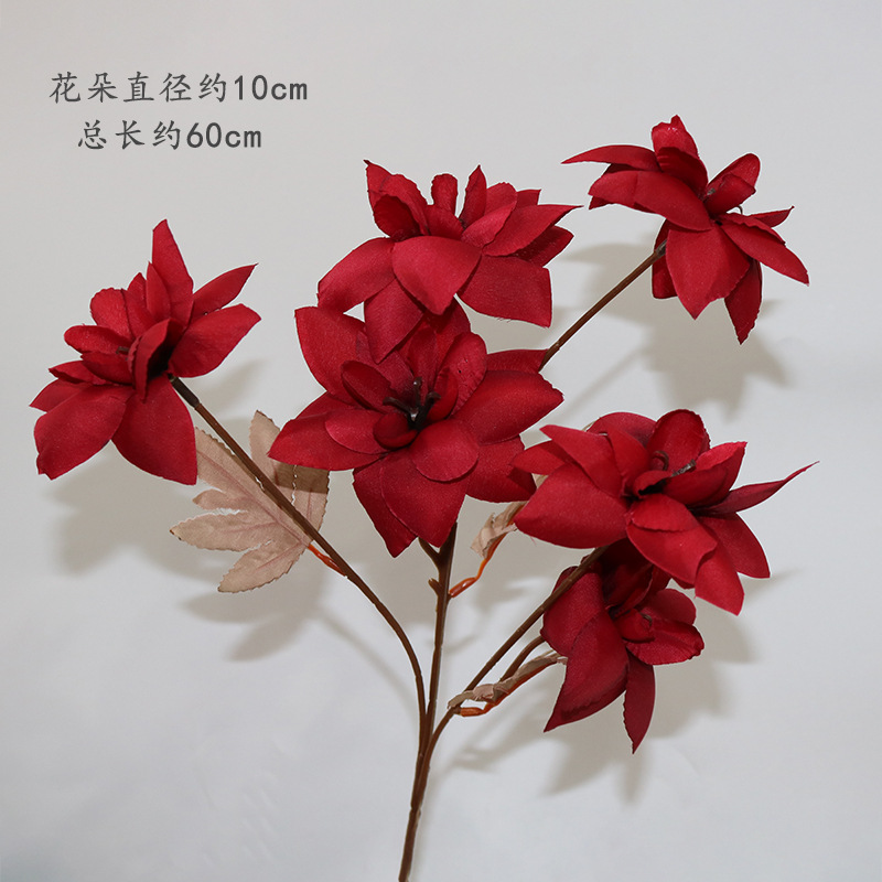 붉은 일몰 가지