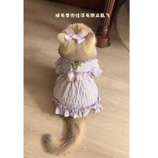 ؈���·��紺���¿���Ů�L�����㹫��С�w���B��ȹ��ż؈����ȹ��