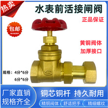 �S�~ˮ��ǰ����~�l�y�T �Ӻ�ˮ���l�y 6��DN20��s�y�T�_�P