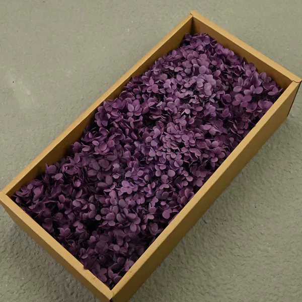 AB Wood Hydrangea Grape Purple (100g)