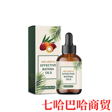 ROSEMARY BATANA HAIR OIL �o�l�� �غ��o���̝��ɿ���l