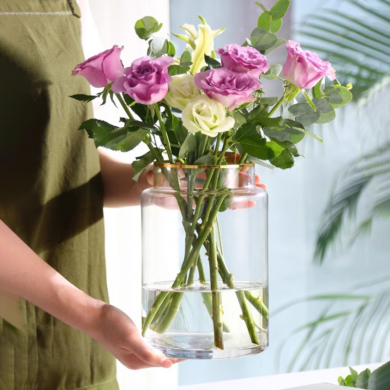 Nordic Home Modern Minimalist Transparent Glass High-end Vase Home Hydroponics High-end Decor Ins Style
