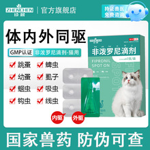 ؈�䌣����xș�����w������x؈؈���xș���l������؈