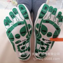 Ӣ����ָ�m��ֺѨλ��Ħ�mѨλ�D���m�ް�ɫ��ɫ���Q�羳���؛Դ