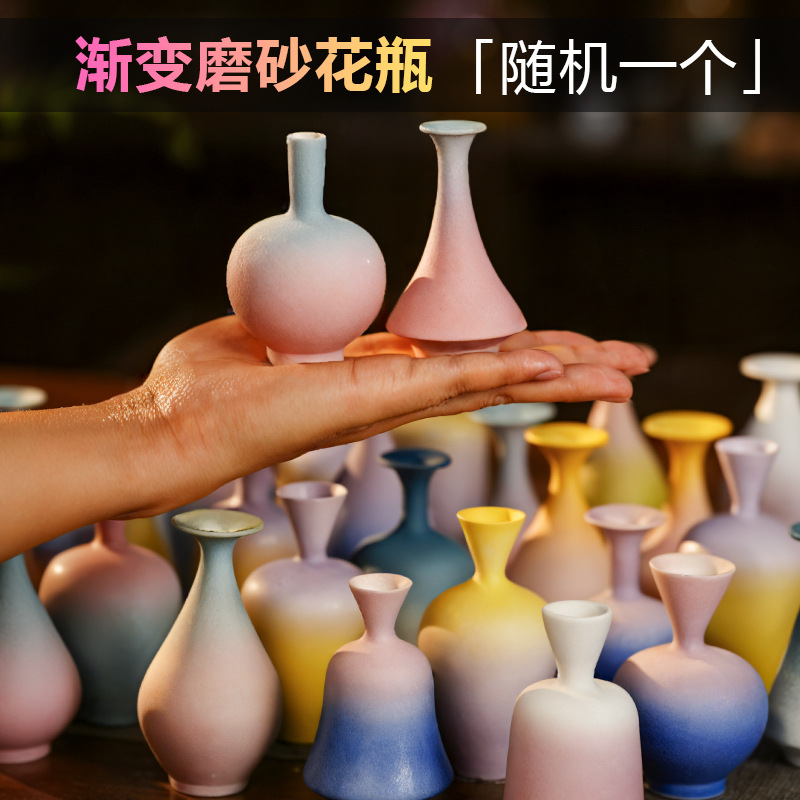 Frosted gradient small vase (randomly sent)