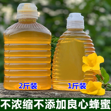 包邮2024年新蜜正荔枝蜂蜜包邮百花蜂蜜龙眼蜂蜜糖液态原蜜纯蜜无