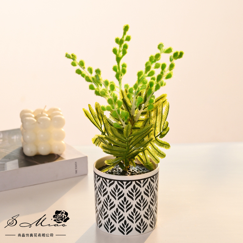 Acacia pequeña plantación de bonsai imitación de flores verdes decoración de escritorio decoración floral de sala de estar interior