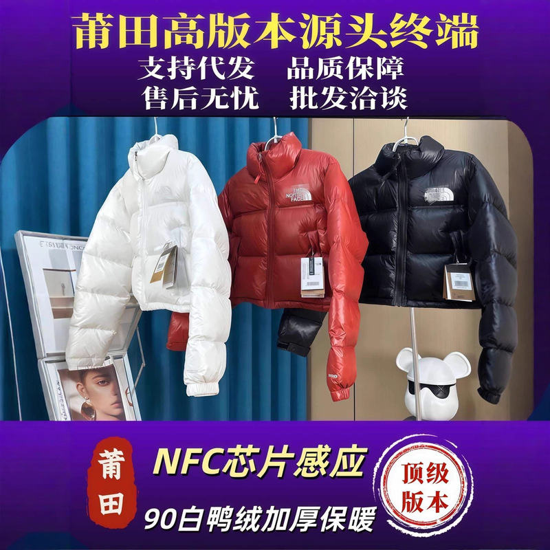 Cross-Border North Face down Jacket 1984 Kendall Short Thickened Stand Collar Women's Winter Trendy Coat Putian North Face Style