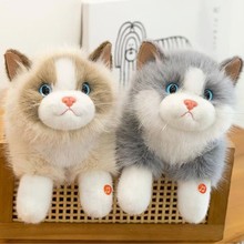 布娃娃礼物猫咪会叫布偶猫毛绒玩具儿童安抚陪睡抱枕布娃娃礼物