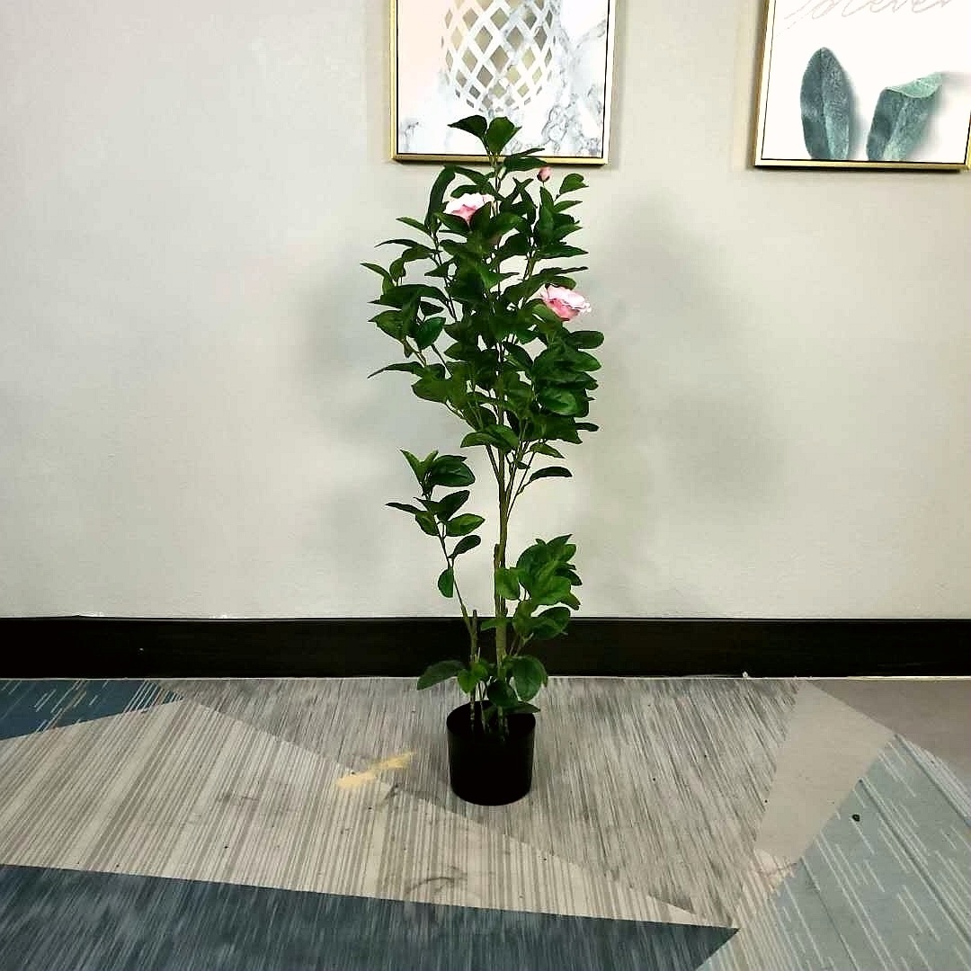 微信图片_20200619093821