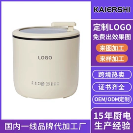 电煮锅;电火锅;养生壶