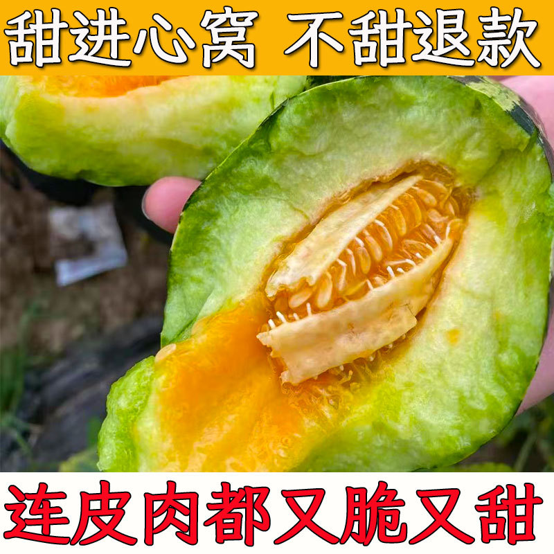 山东博洋9号甜瓜羊角当季水果应季新鲜花皮九号蜜瓜香瓜10斤喻屯