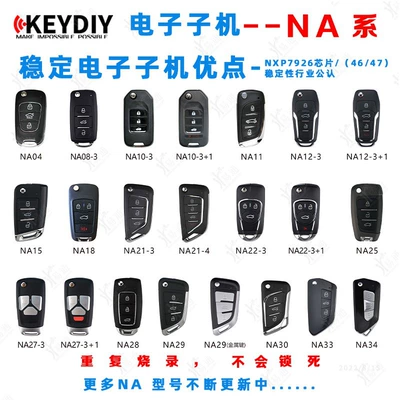 series-electronic-car remote — Avtomobil qapı kilidi silindrləri