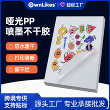 ��ī�ϳɼ�a4�����z��ˮ����pp��ī�����ӡ�˺�����ϩ���N���F؛