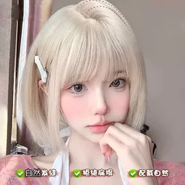 假发马尾;假发长卷发;其他假发