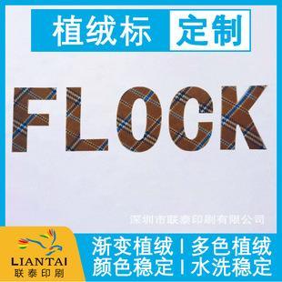 Customized Colorfulful Plush Flocking Hot Labeling Wholesale Clothing Fully Automatic Heat Transfer Printing Labels Washable Trade