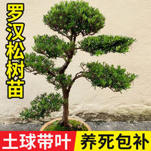 �_�h�ɘ����辰С�~ȸ���䘶ͥԺ���͘�����ӭ�������F�ɘ�Gֲ��