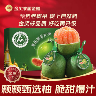 ̩���M�������ּt���������r������Ƥ�t�������ЋDˮ��������]