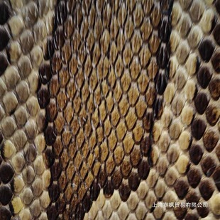 ��Ƥ����Ƥ����Ƥ��Ƥ���߶���Ƥ��������ƤԽ���Ҷ�����������