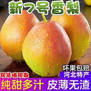 �ӱ�����7̖���r����ˮ���ЋD�������Ӯa�ؼt��������ѩ��������