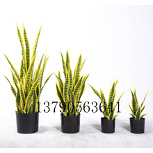 ���滢Ƥ�m��ĸ���߅�G߅�S߅��β�m�����辰�[�����ֲ��Gֲ�S