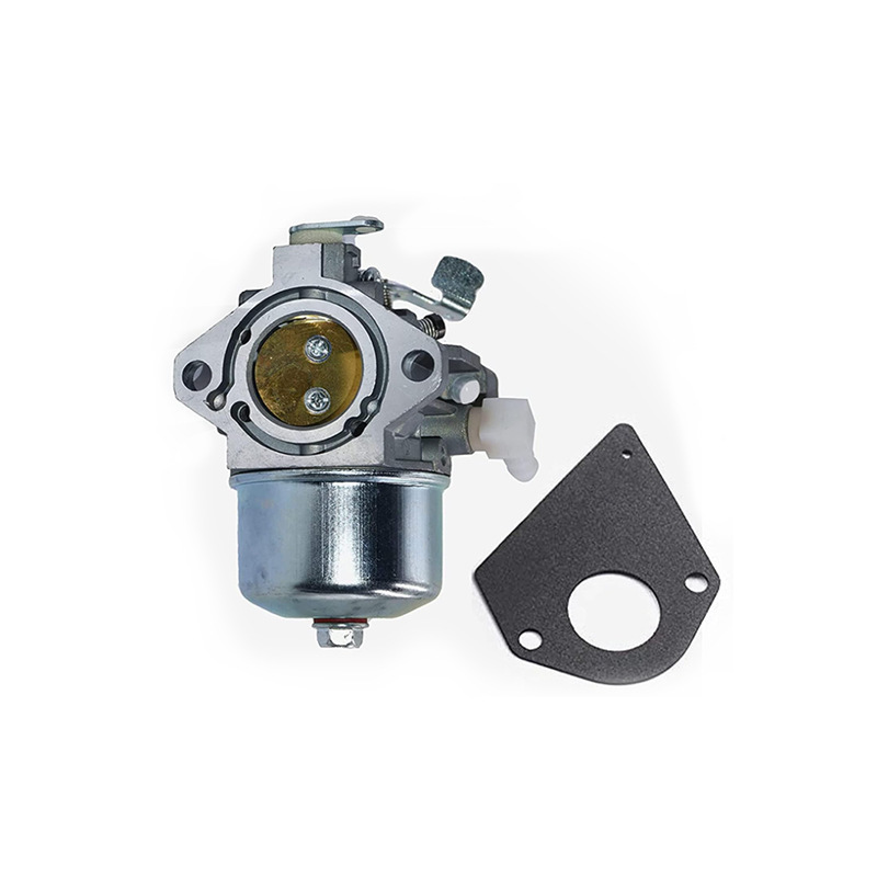 698171 692684 carburador para Briggs & Stratton495778 494883