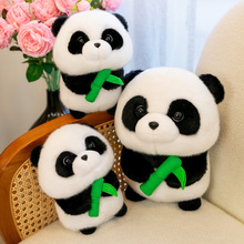 �Ĵ�����؈ë�q��߷��汧����؈��ż�ؑc���μo��Ʒ���l��ͯ�Y��