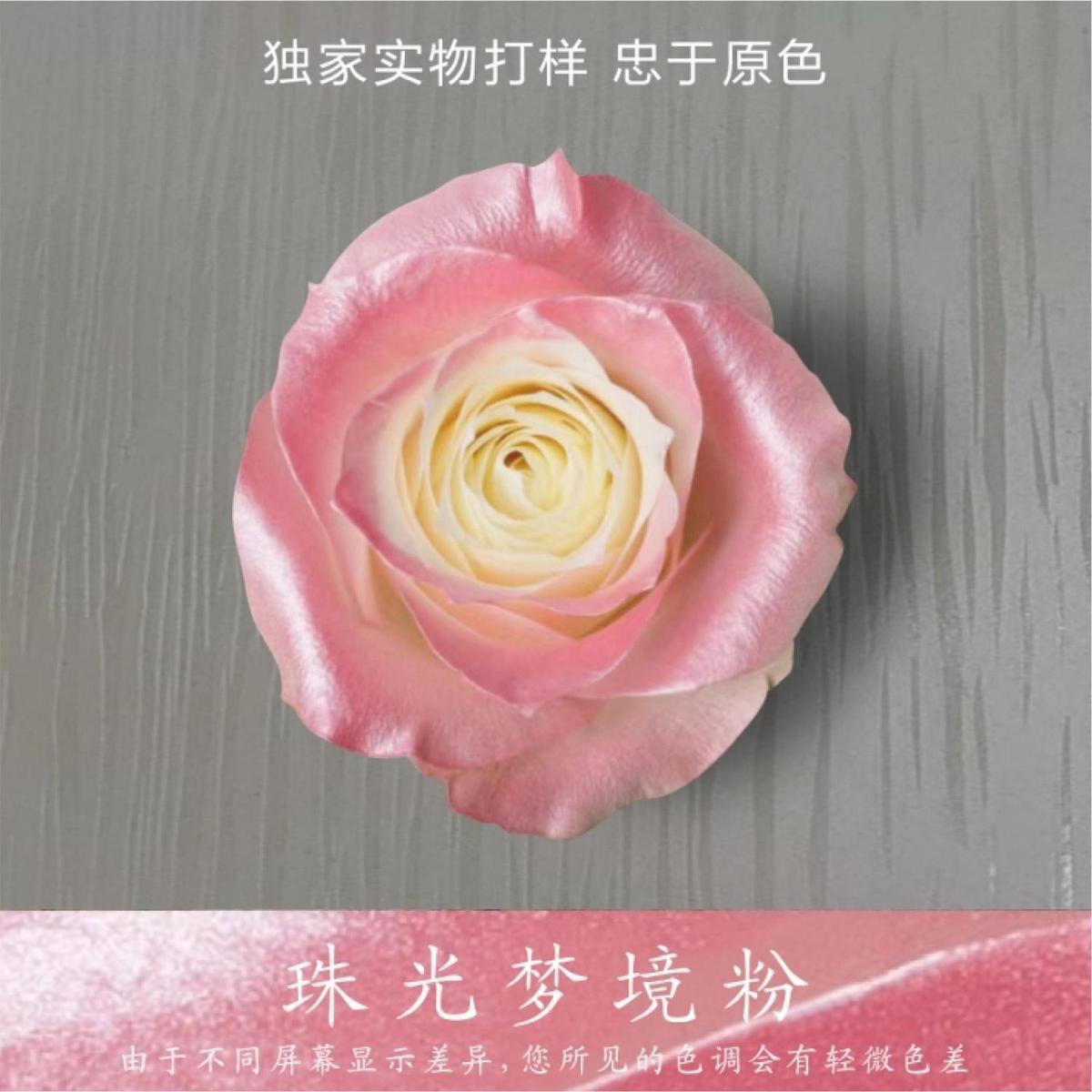 진주빛 드림 파우더