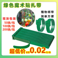 ������ħ�g�N����늾����������������������������Gɫֲ��������