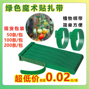 ������ħ�g�N����늾����������������������������Gɫֲ��������