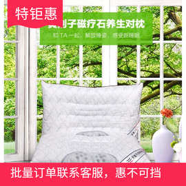 天琴TQ-J57黄荆子石对枕情侣枕头学生枕家用中草枕头男女老少枕芯