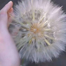 ѹӢN׷Nf[_TNӶ޸ͥԺ