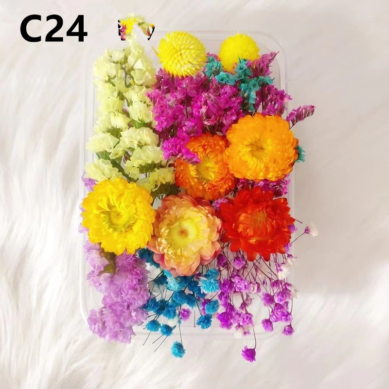 C24