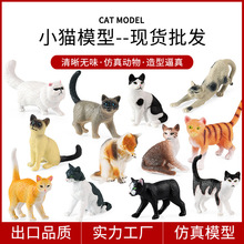 �羳��ͯ����ʵ�Ķ���Сè��ģ����߲�˹è�ڰ׻�è���⹫�аڼ�