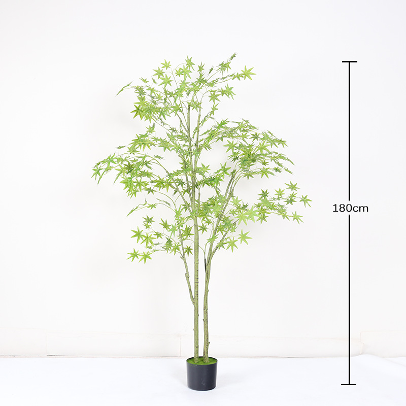 Mini planta en maceta de hoja de arce verde encriptada 180cm (con maceta negra)