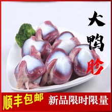 新鲜大鸭胗冷冻鸭肫鸭胃生鲜散养鸭胗//烧烤火锅