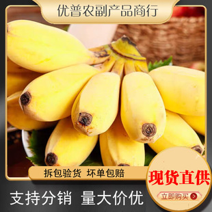 ���ՏV���O�����㽶���rˮ������5����]����С�㽶����һ�����l