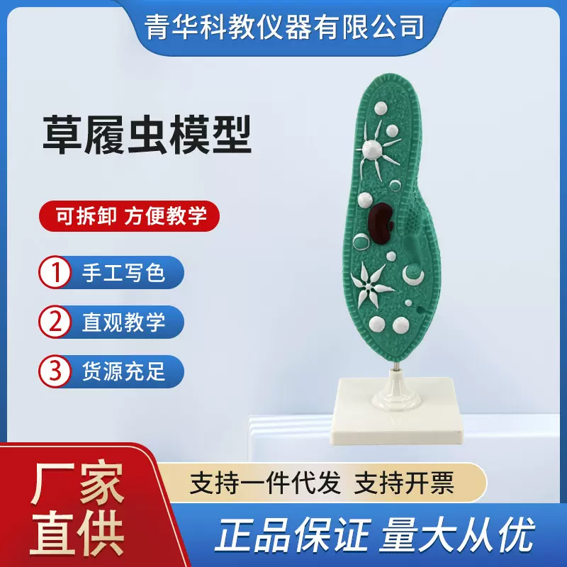 青华33103草履虫模型初中高中生物模型 科教仪器 演示教学